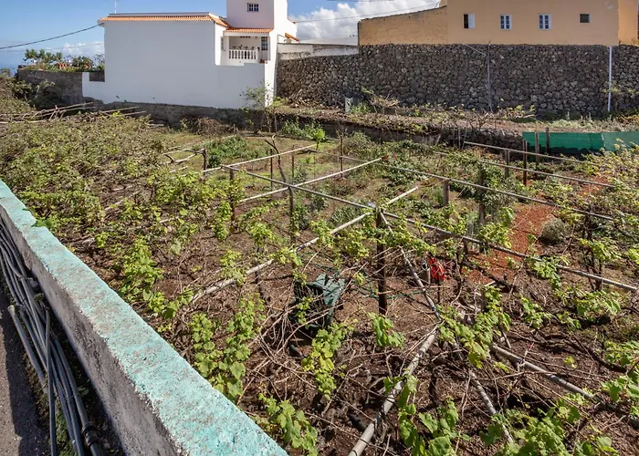 Un Jardin Al Mar Genoves