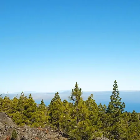 Un Jardin Al Mar Pensión Genovés