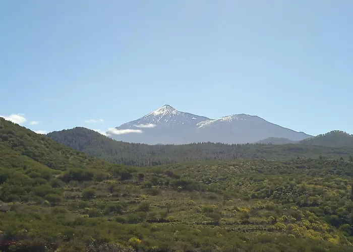 Un Jardin Al Mar Genovés