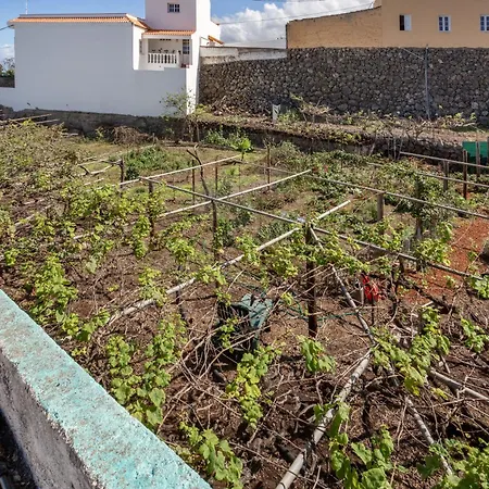 Un Jardin Al Mar Genovés